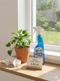 IDEEAL SOLUTIE SPALAT GEAMURI CU POMPITA /750 ML/CLASIC